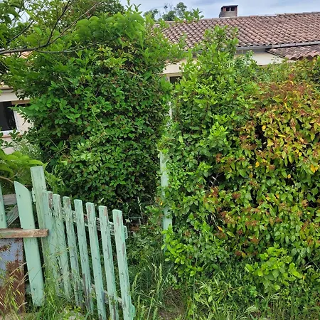 Maison Charmante A Avec Jardin Holiday home