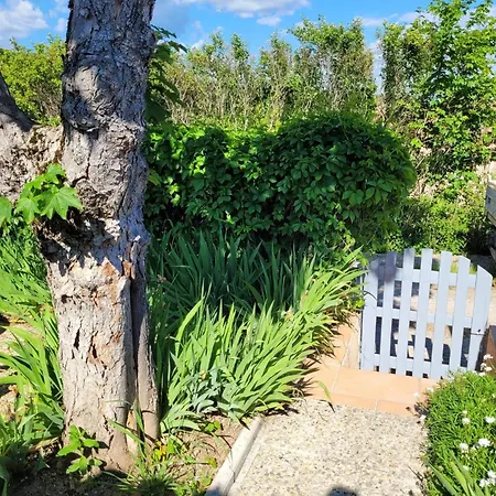 Maison Charmante A Avec Jardin Holiday home Saint-Michel-l'Observatoire
